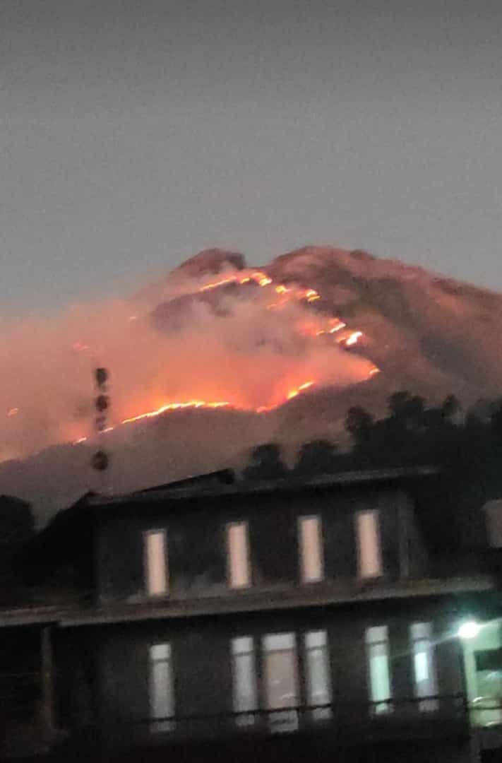 Rentang Waktu 3 Bulan, 171 Kebakaran Hutan Lahan Terjadi di Jateng, Hanguskan Ratusan Hektar