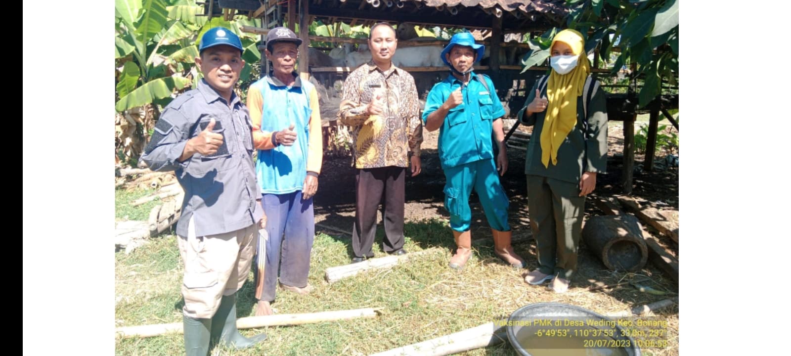 Petugas Dinas Pertanian Lakukan Vaksinasi PMK di Desa Weding Bonang