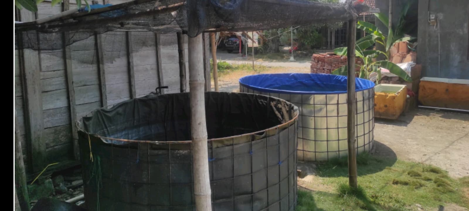 Hadapi Kekeringan, Dinlutkan Sarankan Budidaya Ikan Air Tawar Menggunakan Terpal