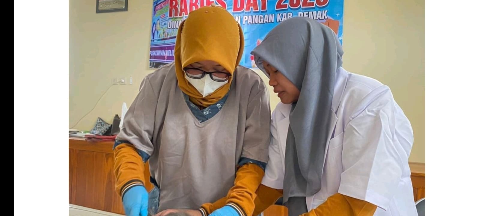 Peringati Hari Rabies, Dinas Pertanian Demak Berikan Vaksin Gratis