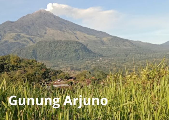 Menguak Misteri dan Keindahan Gunung Arjuno: Jejak Sejarah dan Kisah Gaib di Puncak Tertinggi Kedua Jawa Timur