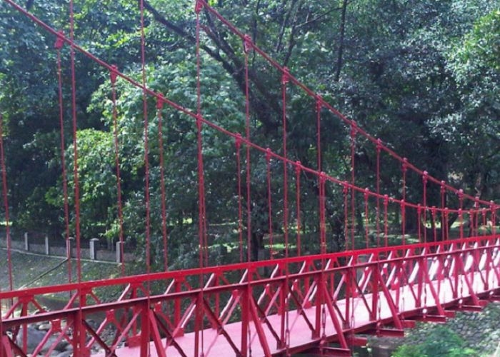 Misteri Jembatan Cinta di Kebun Raya Bogor: Antara Mitos atau Memang Kenyataan?