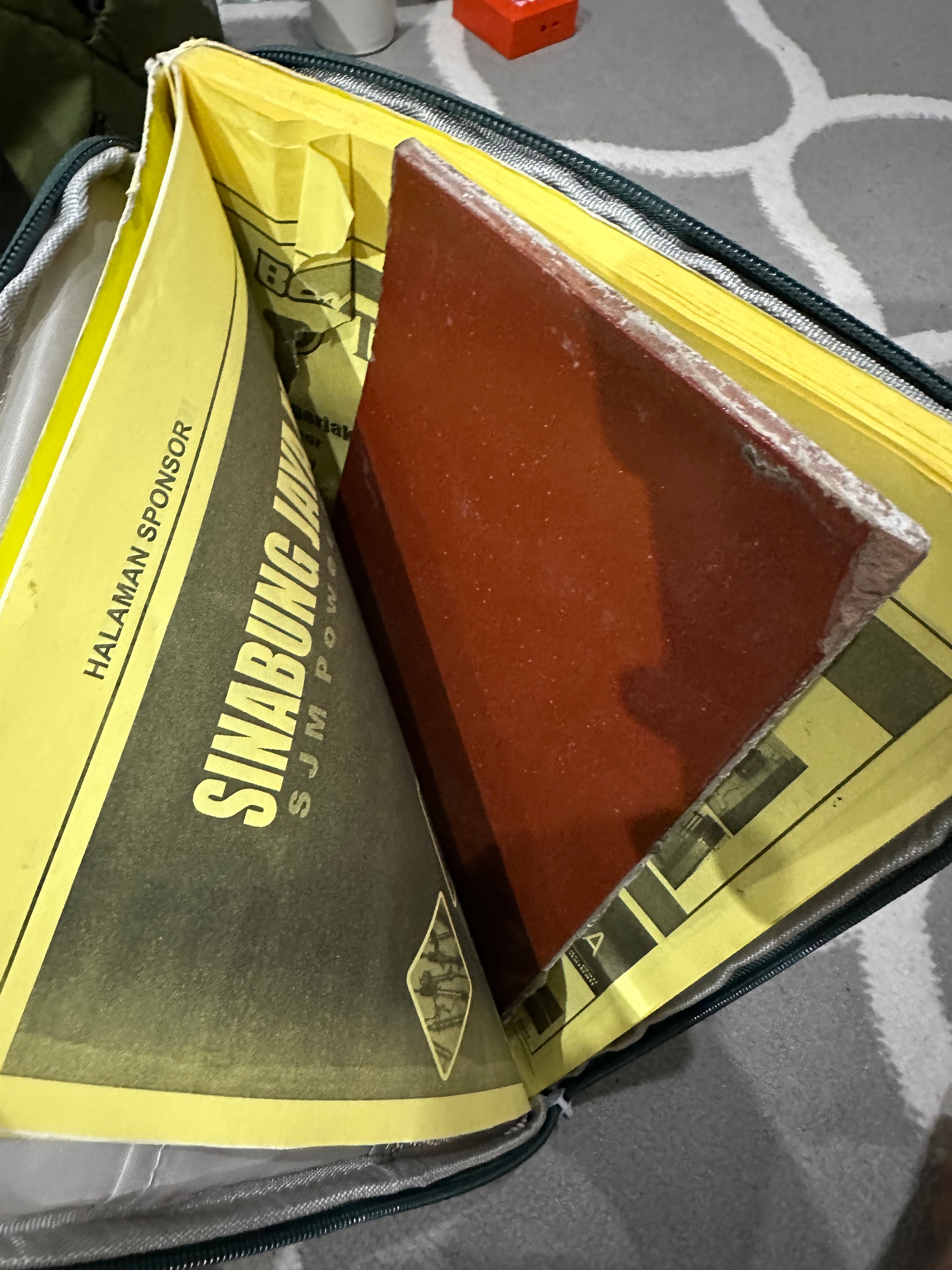 Plot Twist Penumpang Bus Rosalia Indah, Berangkat Muji-Muji Pulang iPad Hilang, Ini Kronologi Lengkap