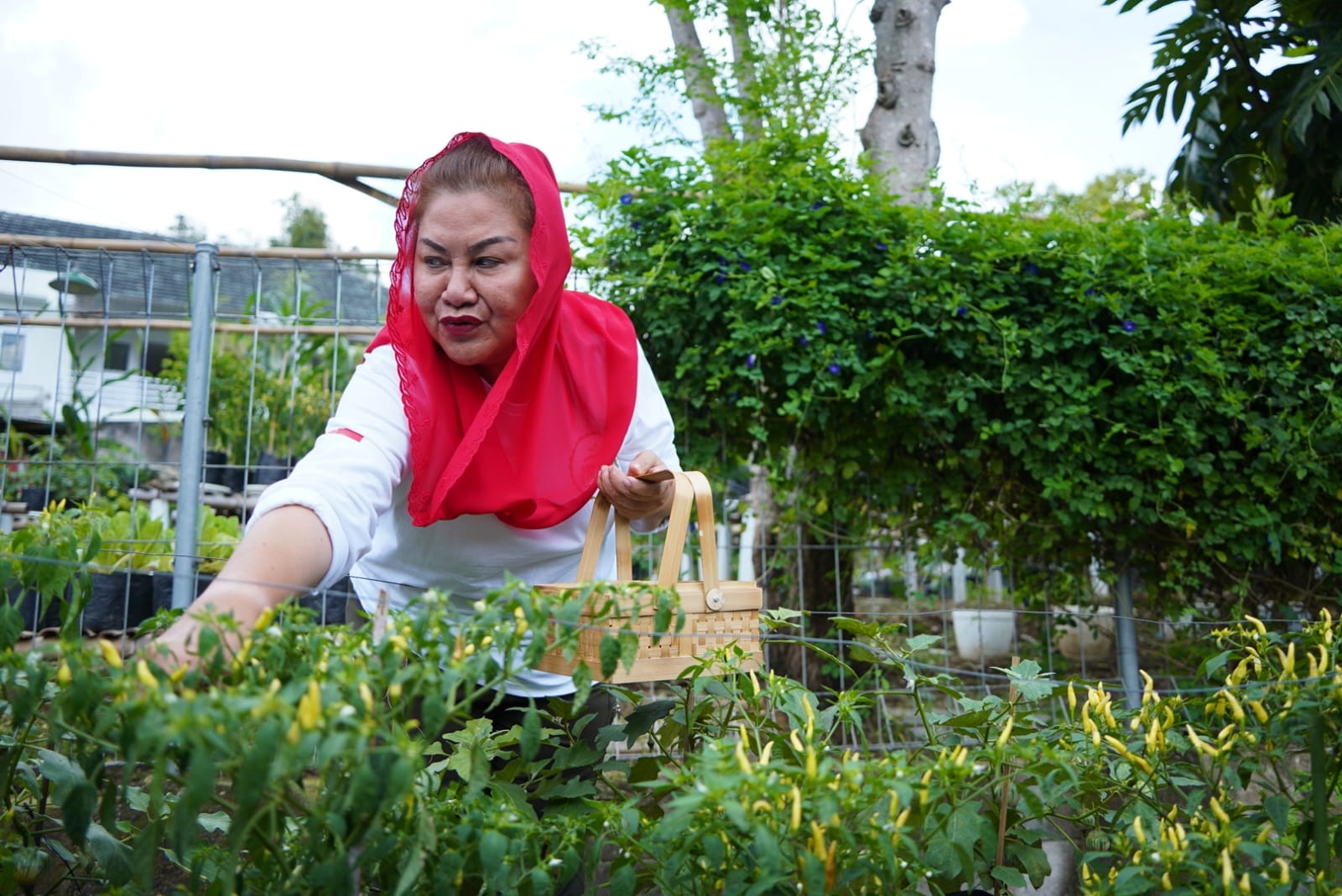 Guru Besar Toksikologi Lingkungan Unika Soegijapranata Optimistis dengan Progam Urban Farming Mbak Ita