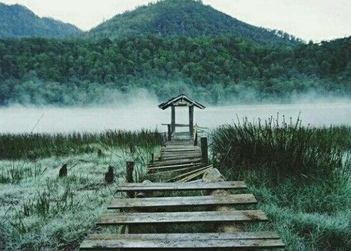 Keelokan Danau Taman Hidup di Gunung Argopuro: Pesona dan Misteri yang Selalu Memikat Pendaki