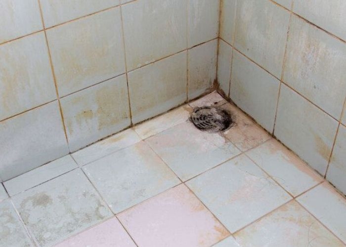 Info Seputar Tips: Mengatasi Lantai Kamar Mandi yang Hitam, 4 Cara Efektif yang Bisa Dicoba