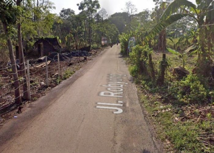 Misteri Jalan Robyong Mijen, Semarang: Suasana Kesunyian yang Memukau dan Kisah Mistis yang Menghantui