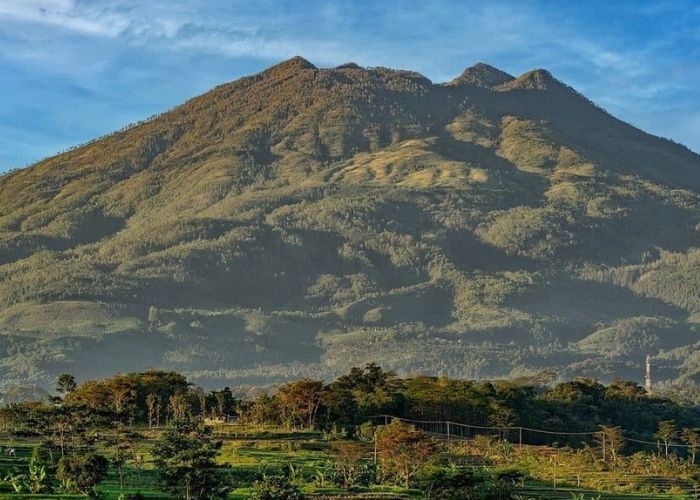 Misteri Pasar Setan di Gunung Lawu: Sebuah Cerita Pengalaman Horor dan Mistis Para Pendaki