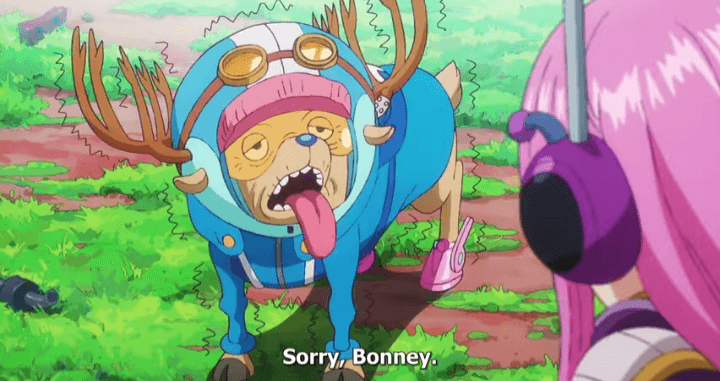 Teori One Piece: Chopper Akan Membuat Ramuan Obat untuk Menangkap Kekuatan Bonney Memanipulasi Umur Seseorang