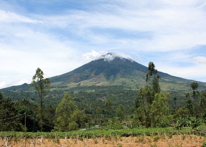 Misteri Dibalik Keindahan Alam Gunung Cikuray: Penampakan Wanita Berwajah Gelap di Jalur Pendakian