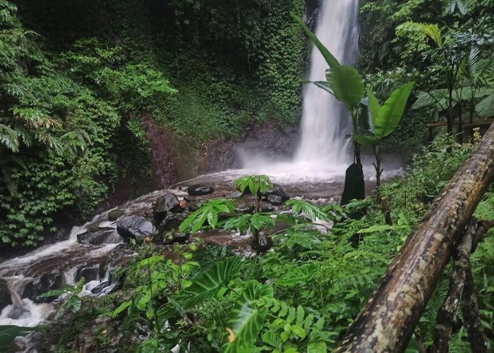 Misteri dan Keindahan Alam yang Menyelimuti Air Terjun Singokromo: Legenda dan Ritual di Balik Gemerlapnya