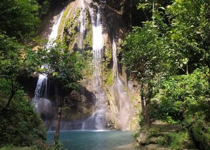 Mengulas Tempat Wisata Terbaik di Indonesia: Pesona Alam Air Terjun Alas Kandung, Menyatu dengan Keindahan Hutan Jawa Timur