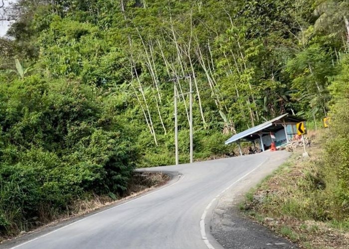 Kisah Angker Beberapa Lokasi di Lampung: Misteri dan Kecelakaan di Tanjakan Sedayu, Sebuah Cerita Angker di Kabupaten Tanggamus