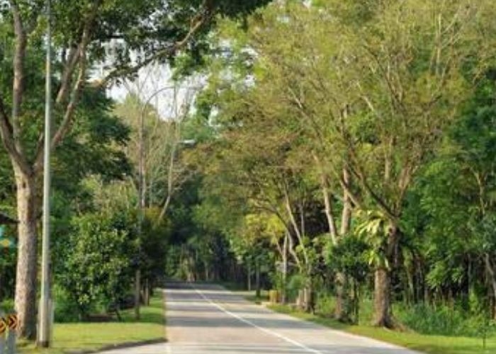 Mengeksplorasi Misteri dan Kisah Angker Lim Chu Kang Road: Jalan yang Menjadi Lokasi Pembunuhan Hingga Tempat Paling Berhantu di Singapura