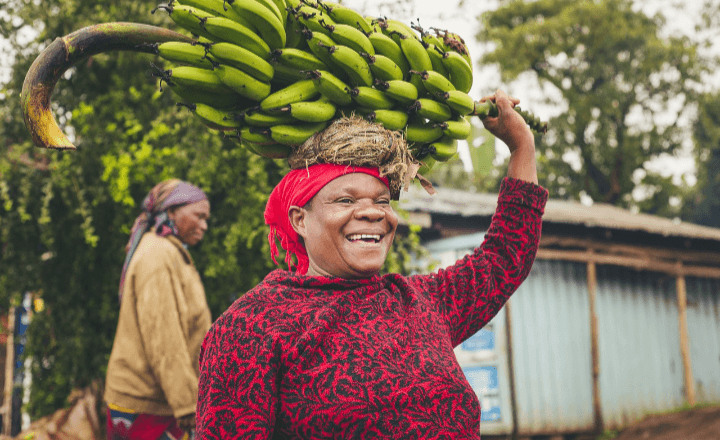 Ini 5 Kecamatan di Pantura Grobogan yang Jadi Penghasil Komoditas Pisang Terbanyak, Bisa Capai Ratusan Ribu Kuintal