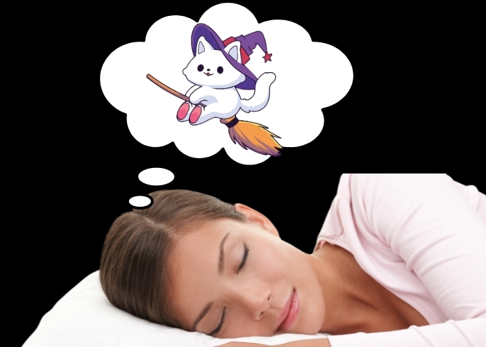 Menjelajahi Dunia Mimpi yang Penuh Misteri: Tafsiran dan Arti Mimpi Kucing Terbang dalam Tidur Anda