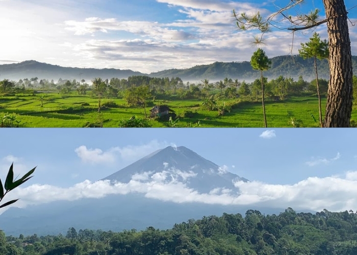 Menikmati Keindahan Gunung Semeru dari Kejauhan: 5 Spot Keren Ini Wajib Masuk List Healing di Lumajang dengan View Gunung Semeru