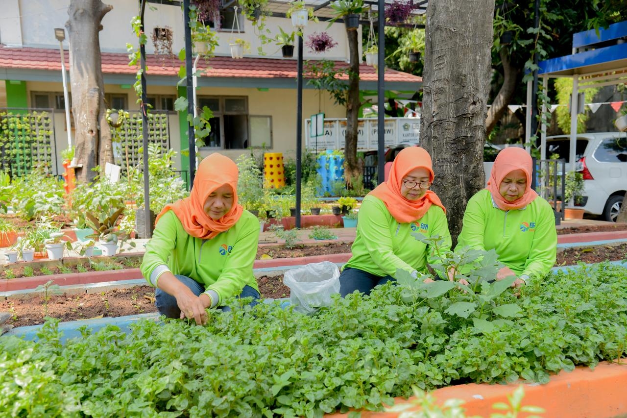 Transformasi Lingkungan RW 07 Cempaka Putih Barat Berkat Urban Farming dan Program BRINita