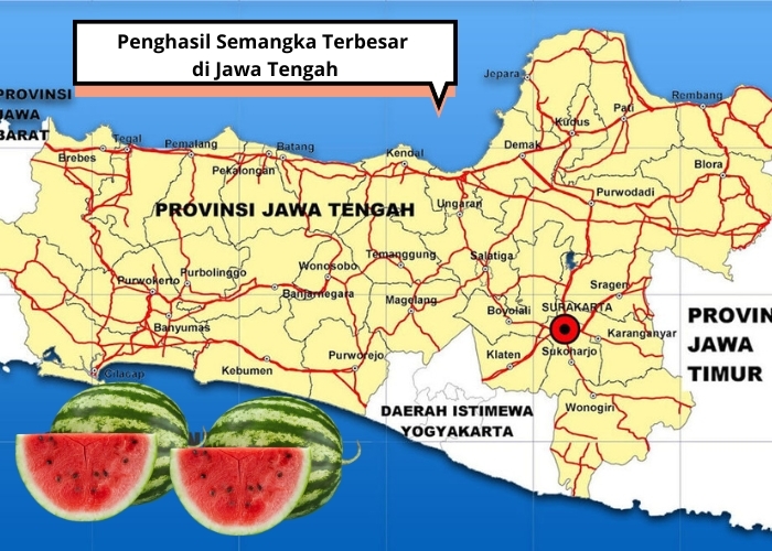 AKHIRNYA TERBONGKAR! 5 Daerah di Jawa Tengah Ini Jadi Juara Penghasil Semangka! Nomor 1 Bukan Kendal atau Purworejo, Tapi.....