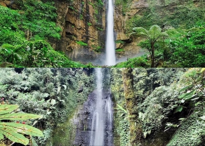 Hidden Gems yang Seru Abis di Lumajang! 5 Air Terjun Menakjubkan Ini Nyatanya Bisa Bikin Kamu Takjub Lho!