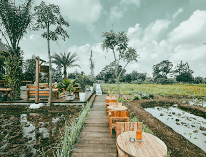 Sensasi Ngopi di Pinggir Sawah tapi Mewah, Ini 3 Coffee Shop Baru di Jogja yang Patut Kamu Coba