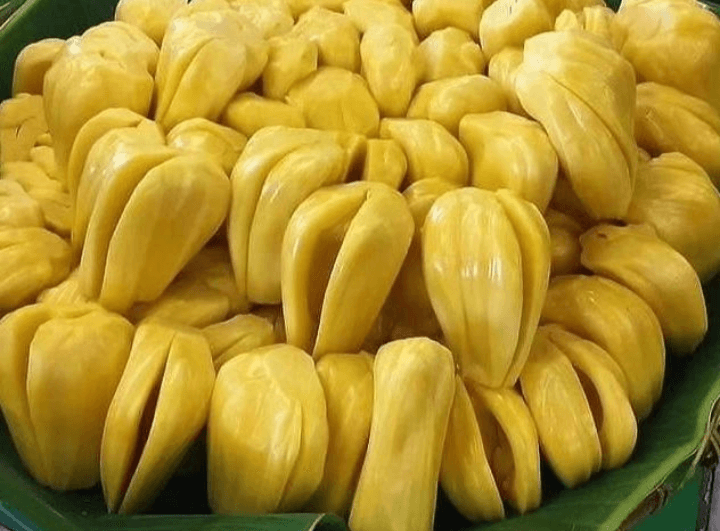 Bisa Panen Hingga 23.000 Kuintal, Ini 5 Daerah Penghasil Terbesar Buah Nangka di Kabupaten Semarang