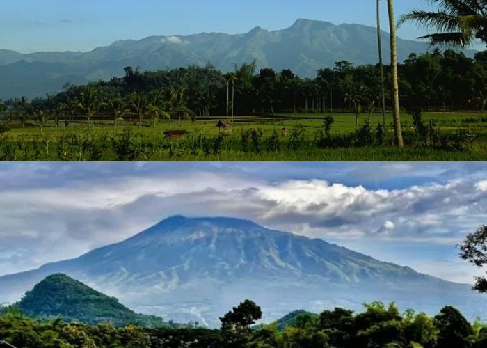Gak Percaya! 4 Gunung dengan Sabana Terluas di Indonesia Ini Wajib Didaki! Keindahannya Mengalahkan Sabana Luar Negeri (Bagian 2)