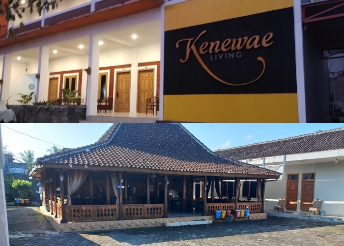 Wonosari Punya Hotel Murah? Ini Buktinya! 4 Rekomendasi Terbaik untuk Liburan Budget Daerah Gunungkidul