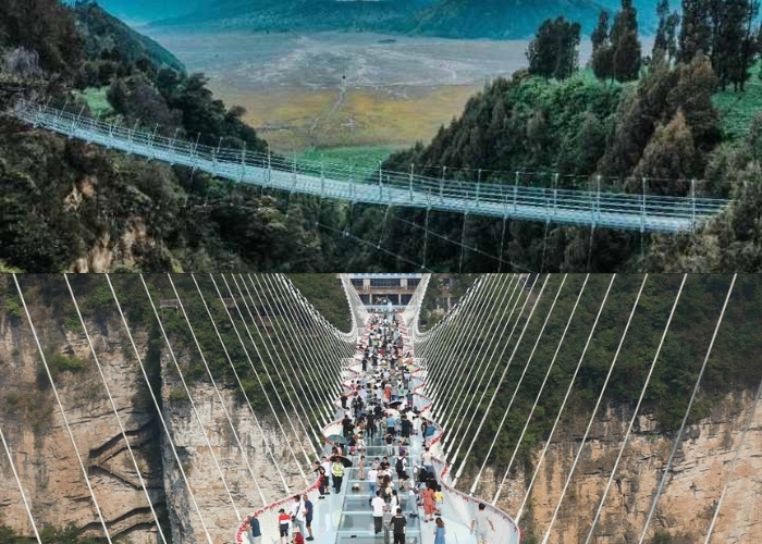 3 Fakta Unik Jembatan Kaca Seruni Point Probolinggo: Primadona Baru Wisata Bromo yang Bikin Deg-degan! Sensasinya Tetap Bisa Memacu Adrenalin