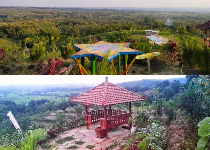 Surga Tersembunyi di Blora: Pemandangan Alam yang Memukau di Bukit Serut yang Wajib Dikunjungi! Apa Saja Daya Tarik Disana?