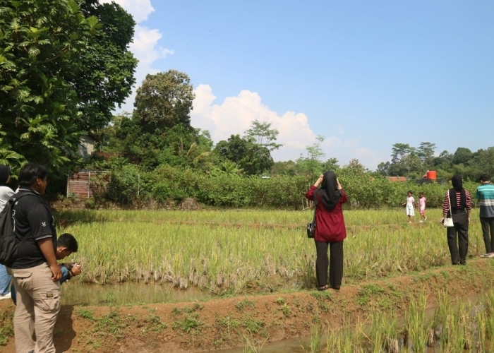 Pesona Desa Wisata Kandri: Mahasiswa USM Tangkap Momen Keindahan Lewat Lensa Kamera