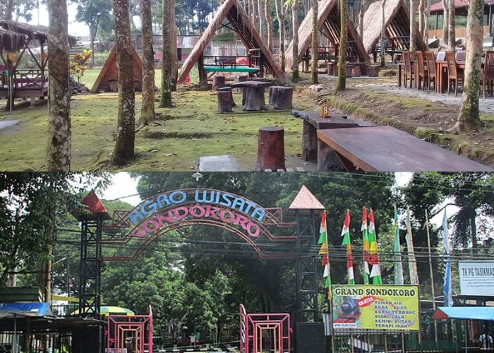 Perlu Healing Ditengah Kepenatan Kerjaan? 4 Destinasi Agrowisata di Karanganyar Ini Bisa Jadi Pilhanmu, Cocok dan Bikin Kamu Ketagihan!