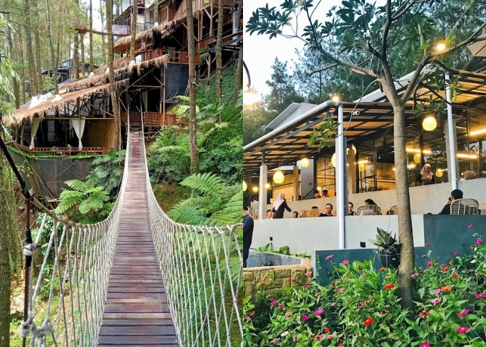 Cafe Nuansa Alam Pasuruan! Rekomendasi 4 Tempat Ngopi Asri yang Bikin Kamu Segar Kembali, Bikin Kamu Betah Nongkrong Lama