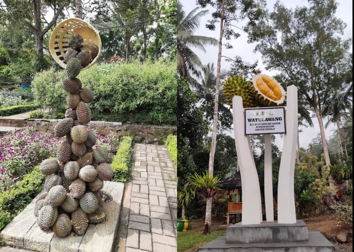 Duren Jatim Vibes! Jelajahi 3 Destinasi Wisata Durian, dan Rasakan Pengalaman yang Unik dan Berbeda! Save Dulu Bagi Pecinta Duren