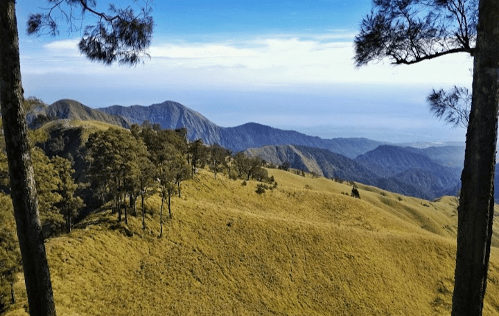 5 Daya Tarik Bukit Sikunir di Kabupaten Wonosobo, Camping Sambil Menikmati Sunrise