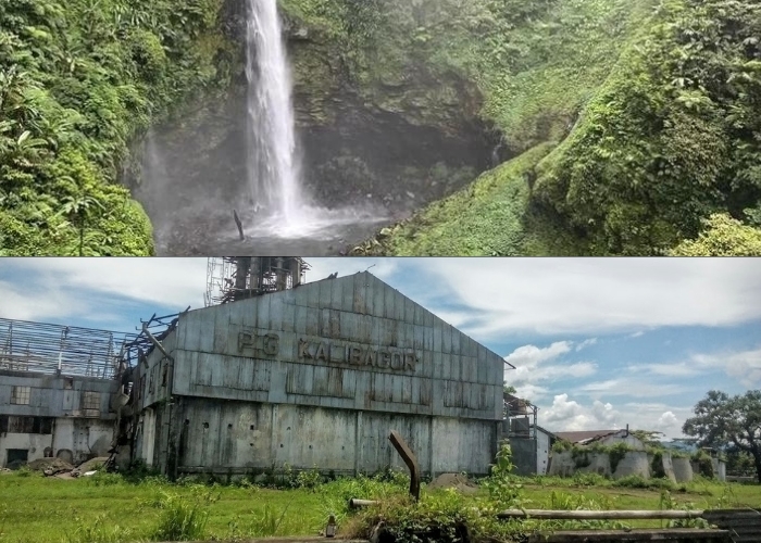 Banyumas Horor Vibes! Jelajahi 3 Tempat Mistis dan Bersejarah di Banyumas, Salah Satunya Ada Bekas Pabrik Gula