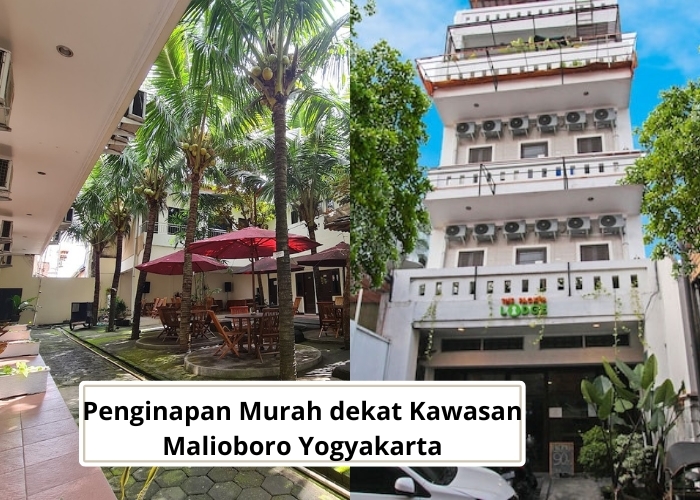 Yogyakarta Vibes! Rahasia Terungkap, Pilihan 4 Penginapan Murah Dekat Malioboro Buat Liburan Hemat dan Nyaman! Cocok Buat Akomodasi Selama Healing