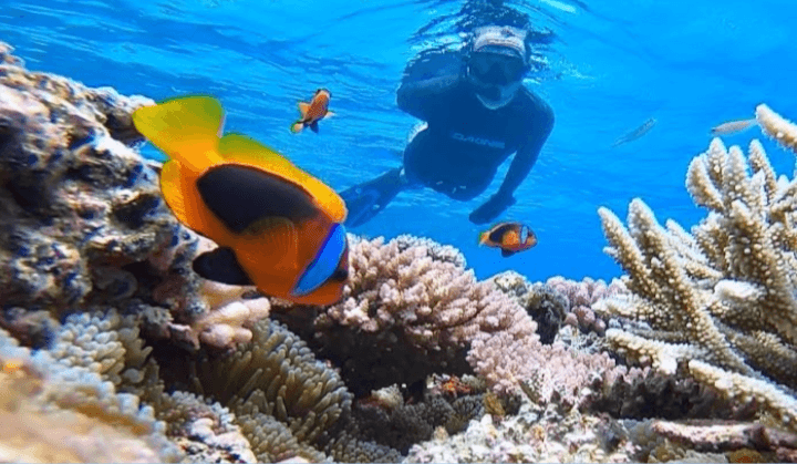 Menakjubkan! Di Kabupaten Jepara Ternyata Ada 5 Lokasi Buat Snorkeling, Pemandangannya Wah Banget