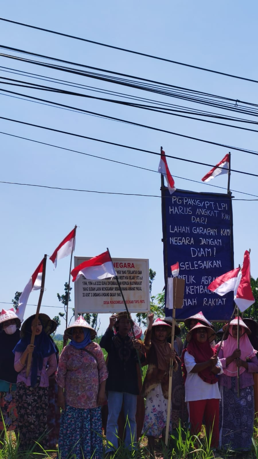 Petani Pundenrejo Tancapkan 1000 Bendera di Lahan Sengketa yang Melibatkan PG Pakis atau PT LPI