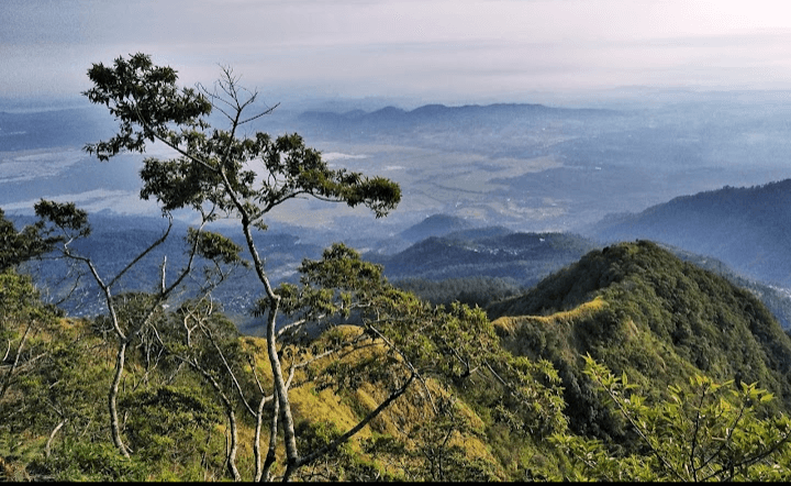 4 Fakta Menarik Tentang Gunung Kendil yang Ada di Kulon Progo Yogyakarta, Bisa Kelihatan Candi Borobudur
