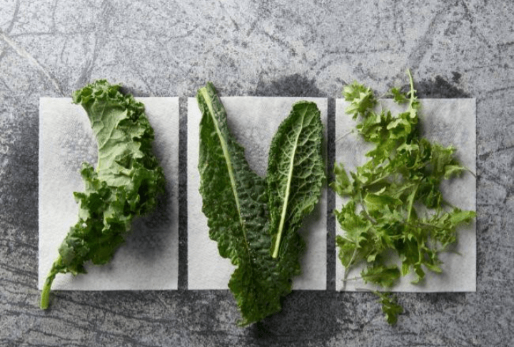 Selain Susu, Ternyata 5 Makanan Ini Mengandung Banyak Kalsium, Apa Saja?