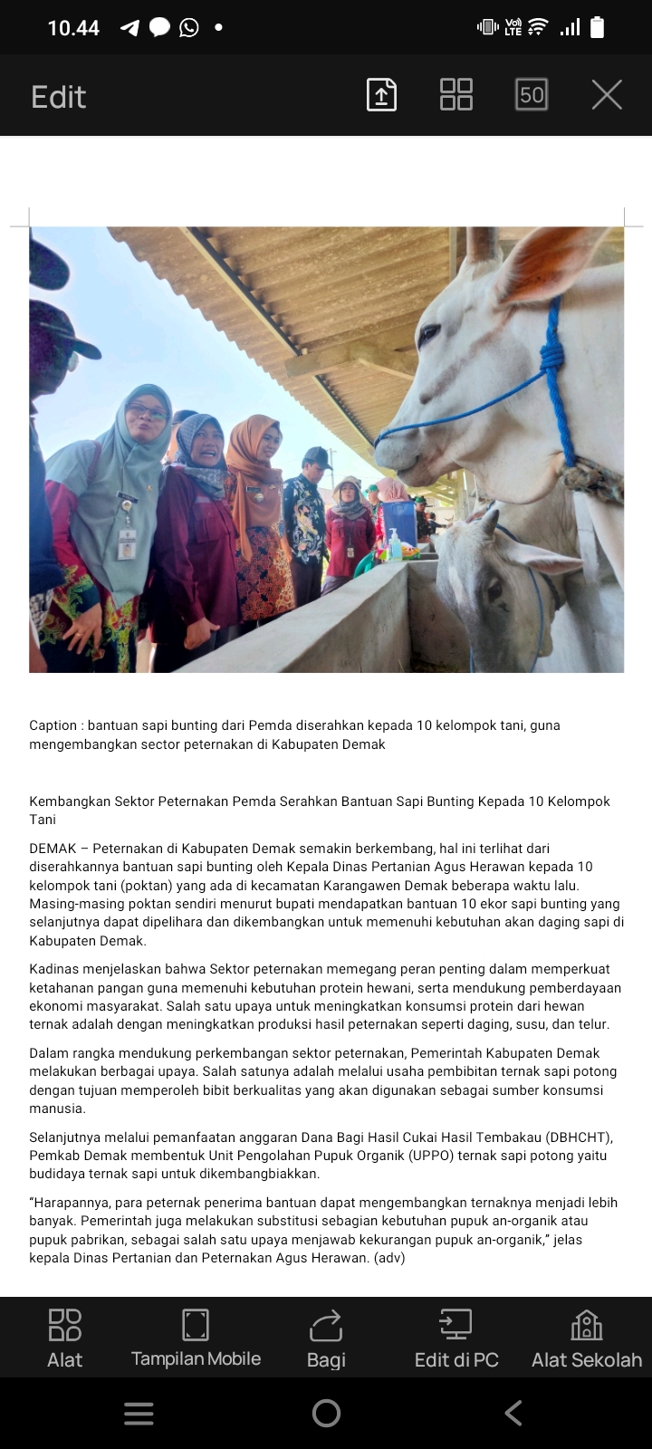 Kembangkan Sektor Peternakan, Pemda Demak Serahkan Bantuan Sapi Bunting Kepada 10 Kelompok Tani