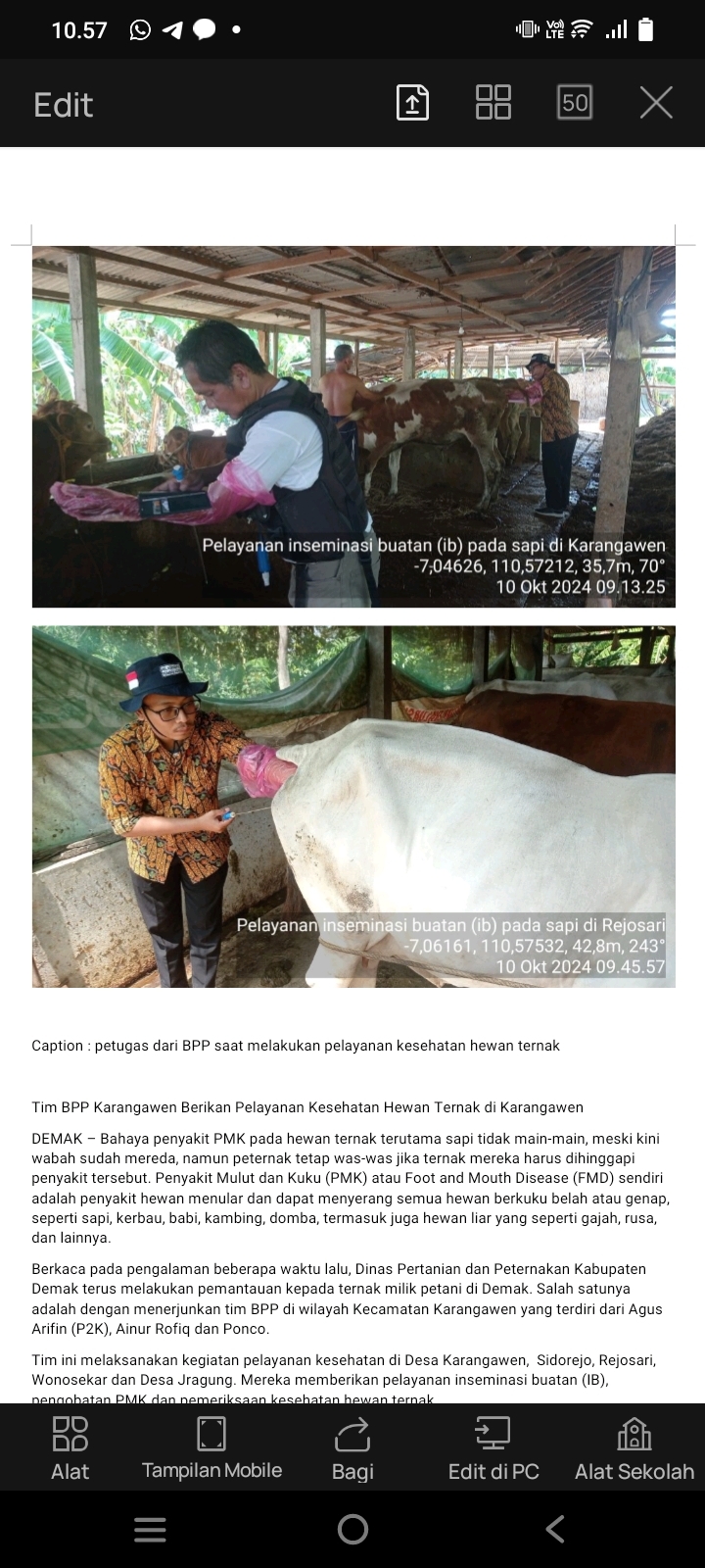 Antisipasi Penyakit Mulut dan Kuku, Tim BPP Karangawen Berikan Pelayanan Kesehatan Hewan Ternak di Karangawen