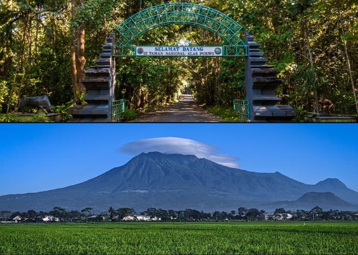 Traveling Vibes! Menelusuri 4 Destinasi Wisata Horor Berlokasi di Pulau Jawa yang Memikat Akan Keindahan Alam serta Menegangkan