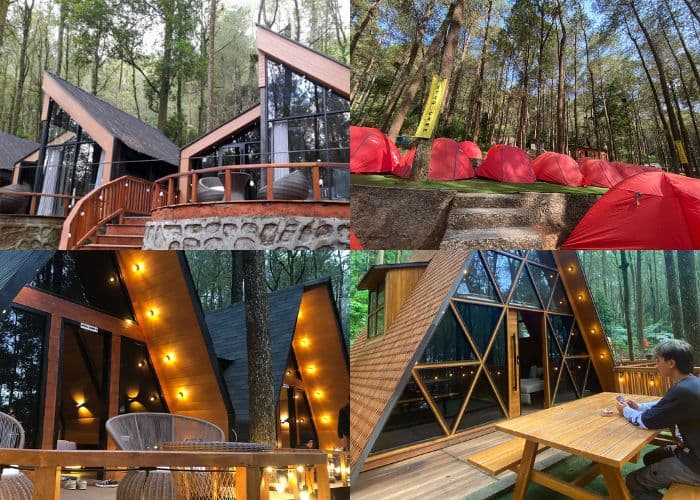 Jateng Vibes! Kopeng Treetop Resort: Pilihan Akomodasi Unik untuk Liburan di Kabupaten Semarang