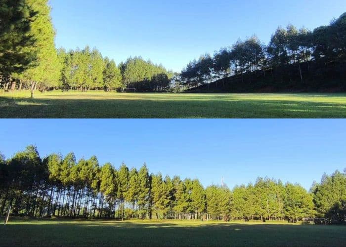 Jateng Vibes! Menikmati Keindahan Lapangan Asri Rawaseneng: Hidden Gem di Tengah Alam Temanggung