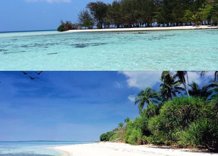 Vitamin Sea! Mengulik Keindahan Pantai Pulau Cemara: Hidden Gems di Karimunjawa dan Lokasi Melihat Lumba-lumba yang Menawan