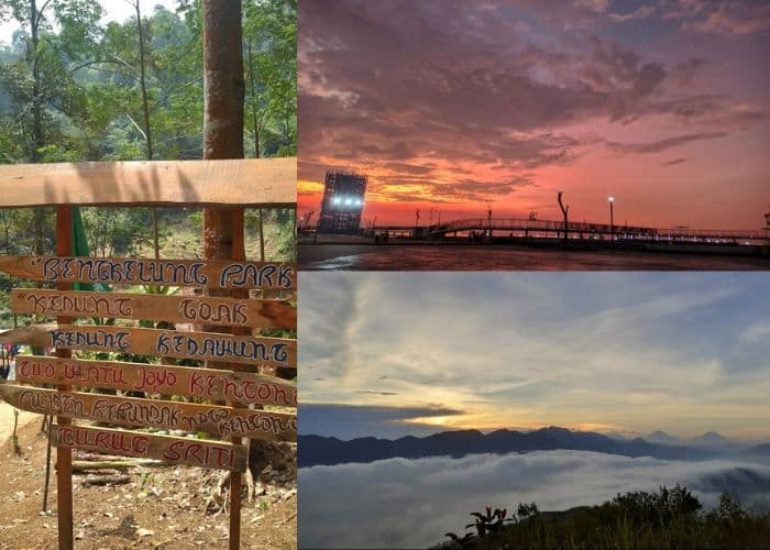 Jateng Vibes! Liburan Natal dan Akhir Tahun di Pekalongan: 6 Destinasi Wisata Hits untuk Healing dan Foto Instagramable!