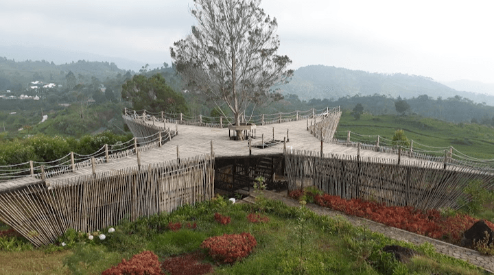 Mau Cari Wisata Outdoor? Cobain 4 Pilihan Tempat Wisata Glamping di Kawasan Lembang Bandung