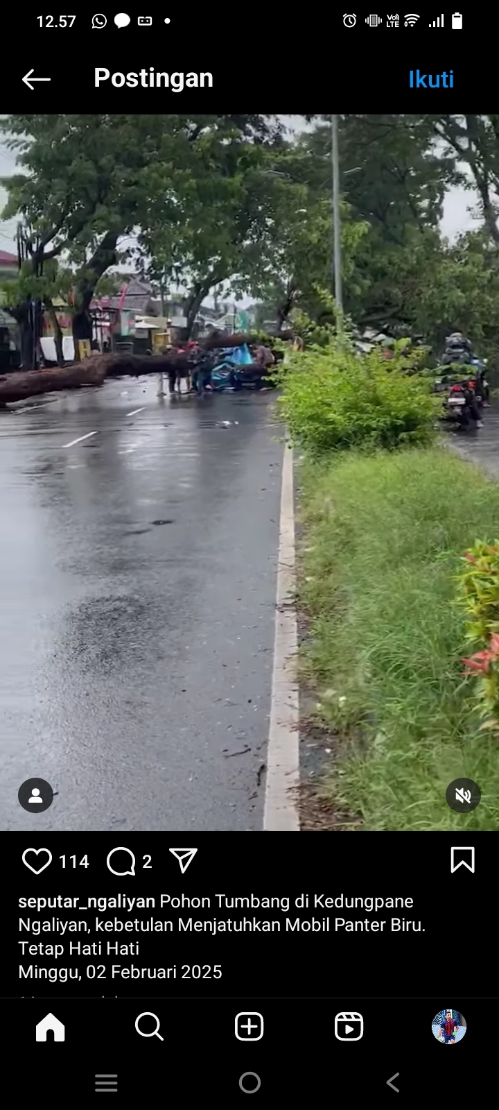 Mobil Isuzu Panther Biru Ringsek Tertimpa Pohon di Tanjakan Silayur Ngaliyan